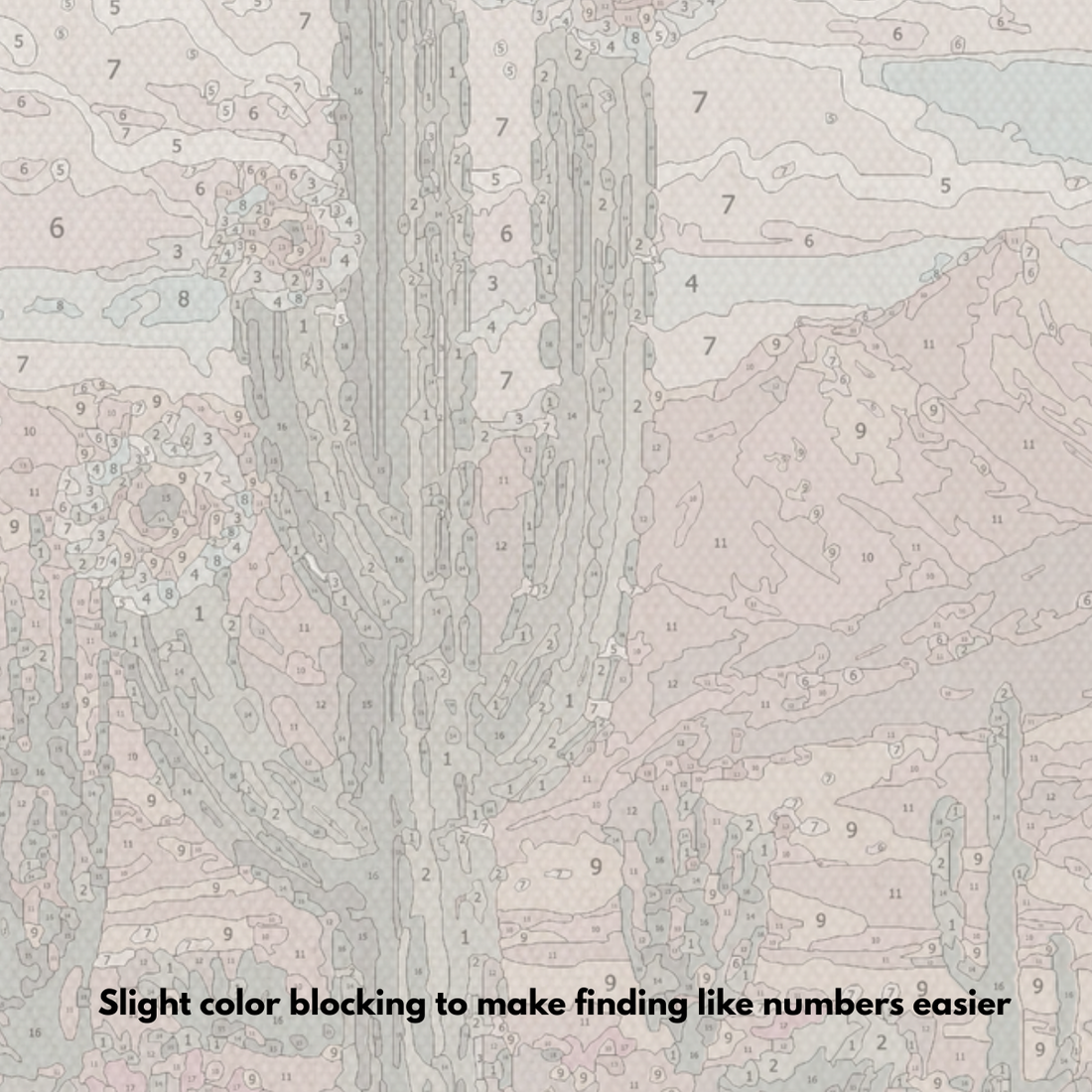 Southwest Paradise - Paint by Numbers Kit